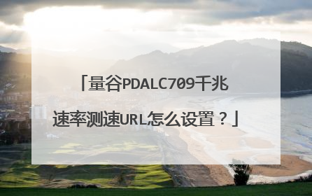量谷PDALC709千兆速率测速URL怎么设置？