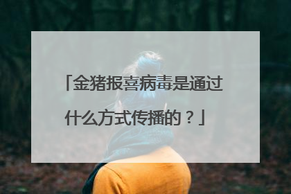 金猪报喜病毒是通过什么方式传播的?
