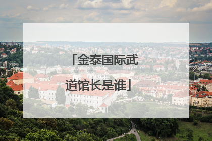 金泰国际武道馆长是谁