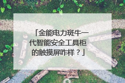 金能电力斑牛一代智能安全工具柜的触摸屏咋样?