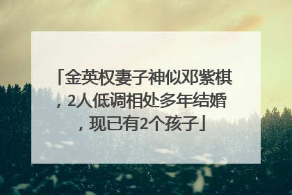金英权妻子神似邓紫棋，2人低调相处多年结婚，现已有2个孩子