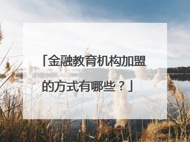 金融教育机构加盟的方式有哪些?