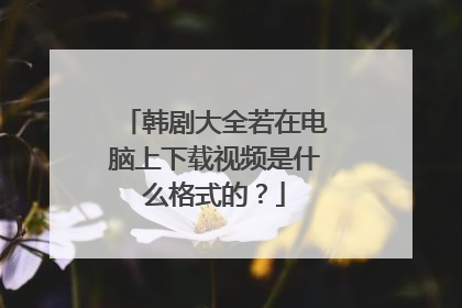 韩剧大全若在电脑上下载视频是什么格式的?