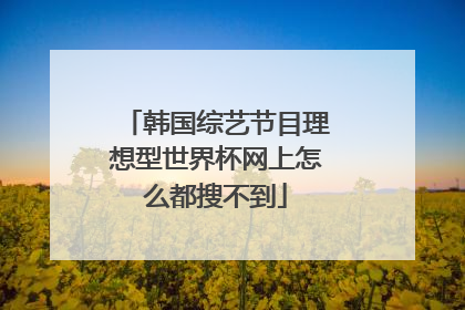 韩国综艺节目理想型世界杯网上怎么都搜不到