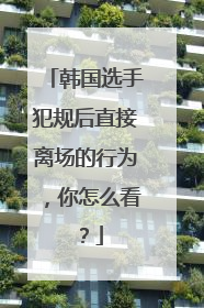 韩国选手犯规后直接离场的行为，你怎么看？