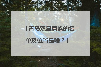 青岛双星男篮的名单及位置是啥？
