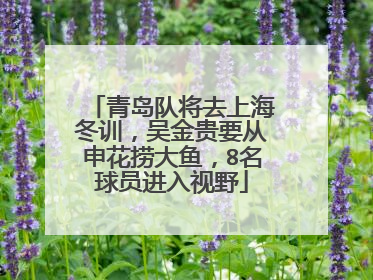 青岛队将去上海冬训，吴金贵要从申花捞大鱼，8名球员进入视野