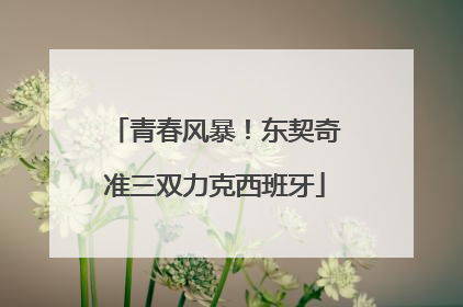 青春风暴！东契奇准三双力克西班牙