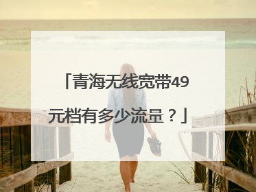 青海无线宽带49元档有多少流量？