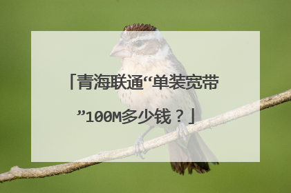 青海联通“单装宽带”100M多少钱?
