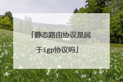 静态路由协议是属于igp协议吗