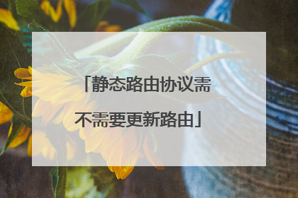 静态路由协议需不需要更新路由