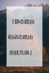 静态路由和动态路由的优先级