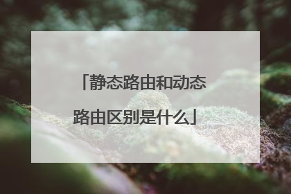静态路由和动态路由区别是什么