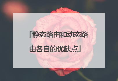 静态路由和动态路由各自的优缺点