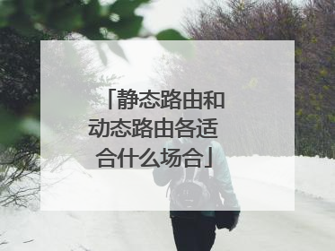 静态路由和动态路由各适合什么场合