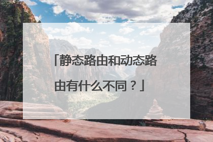 静态路由和动态路由有什么不同?