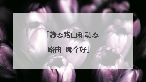 静态路由和动态路由 哪个好