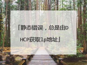 静态错误,总是由DHCP获取lp地址