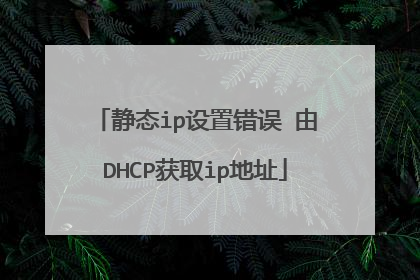 静态ip设置错误 由DHCP获取ip地址