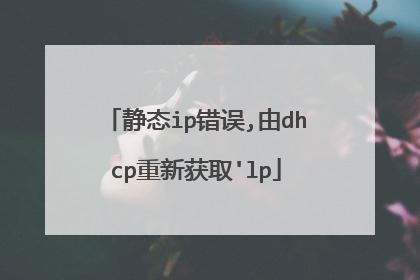 静态ip错误,由dhcp重新获取'lp