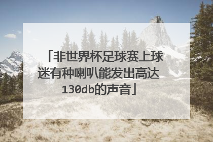 非世界杯足球赛上球迷有种喇叭能发出高达130db的声音