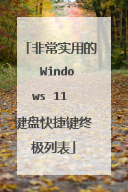 非常实用的 Windows 11 键盘快捷键终极列表