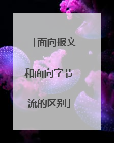 面向报文和面向字节流的区别