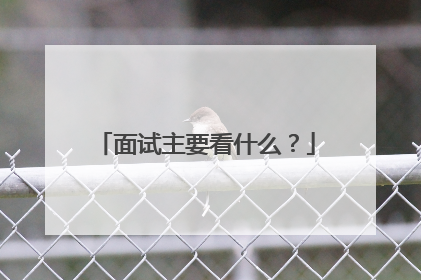 面试主要看什么?