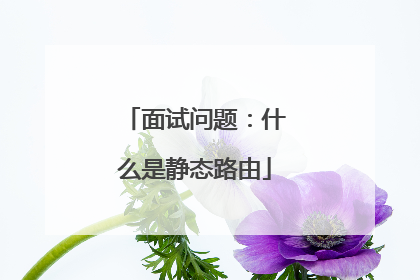 面试问题:什么是静态路由