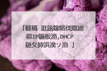 鐩稿�逛簬鎵嬪伐璁剧疆IP鍦板潃,DHCP鏈夊摢浜涘ソ澶�