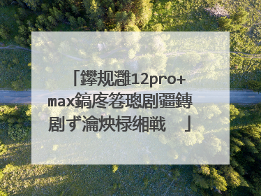 鑻规灉12pro+max鎬庝箞璁剧疆鏄剧ず瀹炴椂缃戦��