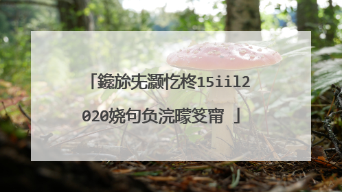 鑱旀兂灏忔柊15iil2020娆句负浣曚笅甯�