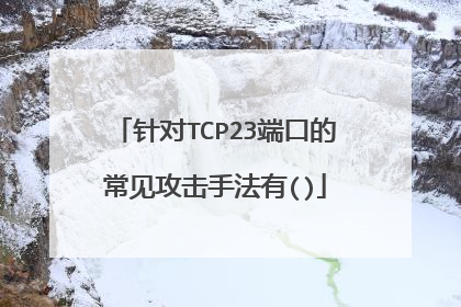 针对TCP23端口的常见攻击手法有()