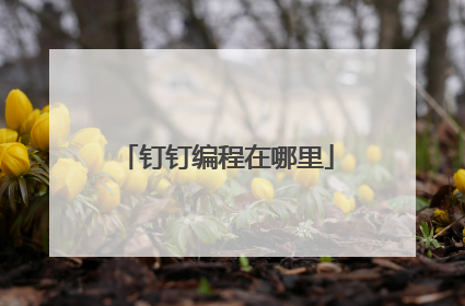钉钉编程在哪里