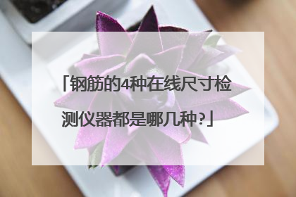 钢筋的4种在线尺寸检测仪器都是哪几种?