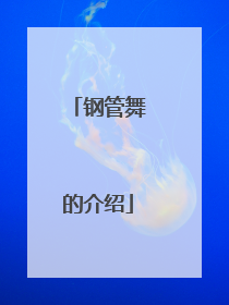 钢管舞的介绍