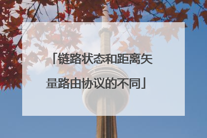 链路状态和距离矢量路由协议的不同