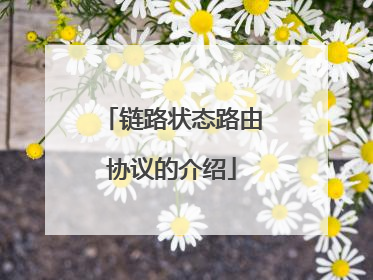 链路状态路由协议的介绍