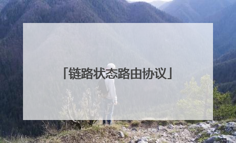 链路状态路由协议