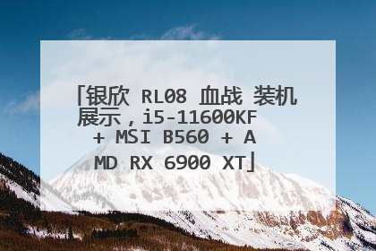 银欣 RL08 血战 装机展示,i5-11600KF + MSI B560 + AMD RX 6900 XT