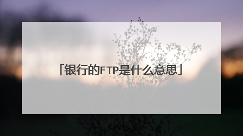 银行的FTP是什么意思