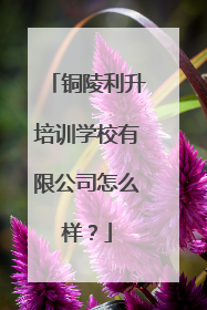 铜陵利升培训学校有限公司怎么样？