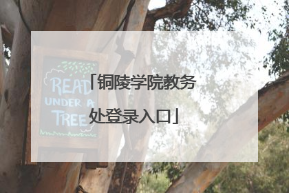 铜陵学院教务处登录入口