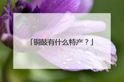 铜鼓有什么特产?