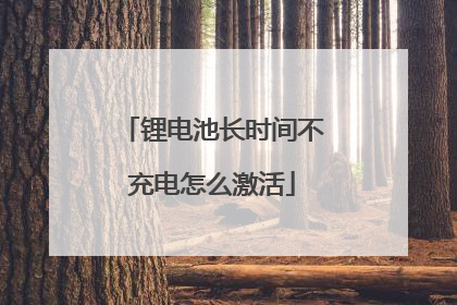 锂电池长时间不充电怎么激活