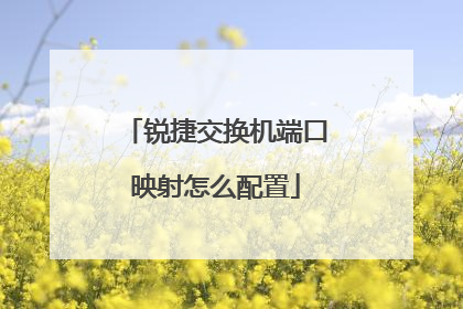 锐捷交换机端口映射怎么配置