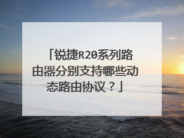 锐捷R20系列路由器分别支持哪些动态路由协议？