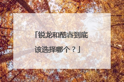 锐龙和酷睿到底该选择哪个?