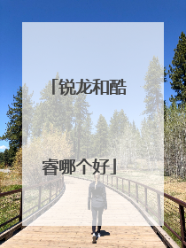 锐龙和酷睿哪个好